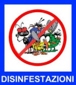 Servizio di disinfestazione e derattizzazione per l'anno 2019 in Racale e nel...