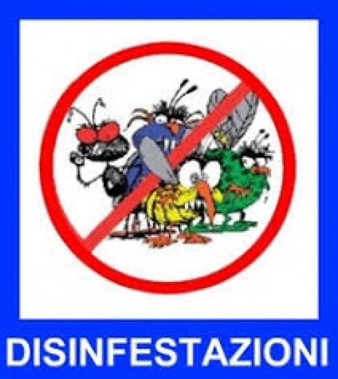 Servizio di disinfestazione e derattizzazione per l'anno 2019 in Racale e nel...