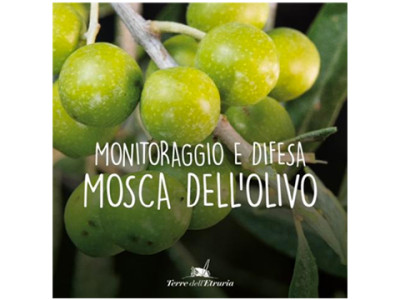 BOLLETTINO FITOPATOLOGICO N. 15